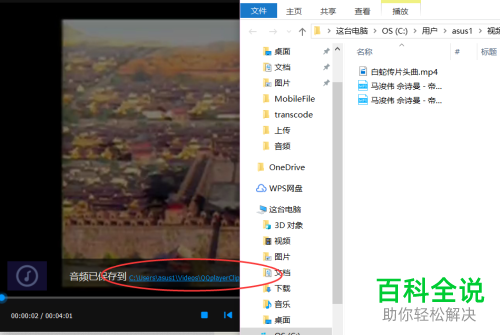 在视频中怎么只截取音频？
