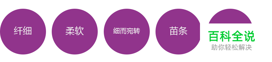 字体设计之字的性取向