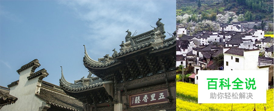 字体设计之字的性取向