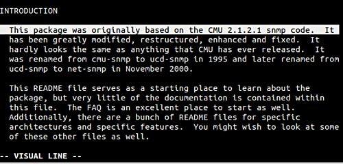 在Vim中进行文本选择操作和使用标志的方法