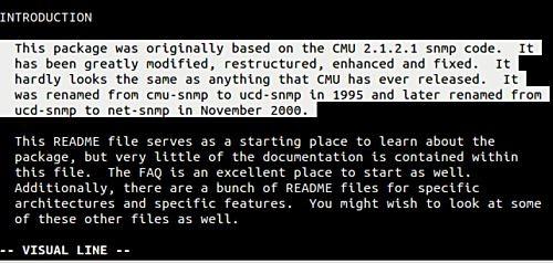 在Vim中进行文本选择操作和使用标志的方法