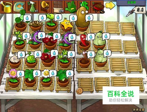 植物大战僵尸花园攻略