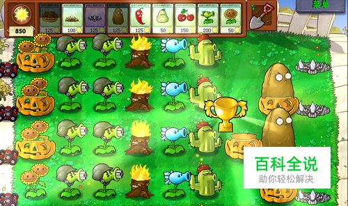 植物大战僵尸生存模式白天攻略