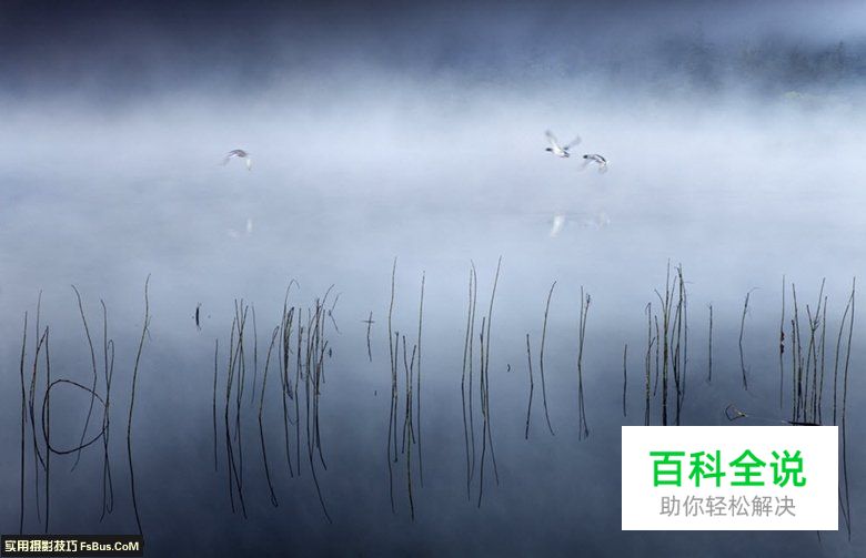 在雾霾天气拍好风景的技巧建议