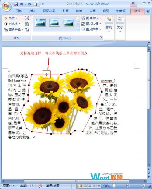 在Word2007中如何让文字紧挨图片
