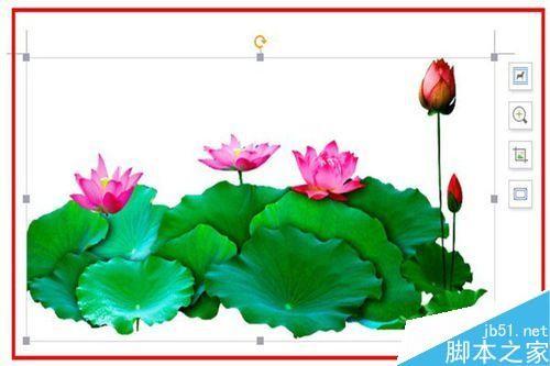 在word文档中怎么实现图文并茂生动形象?