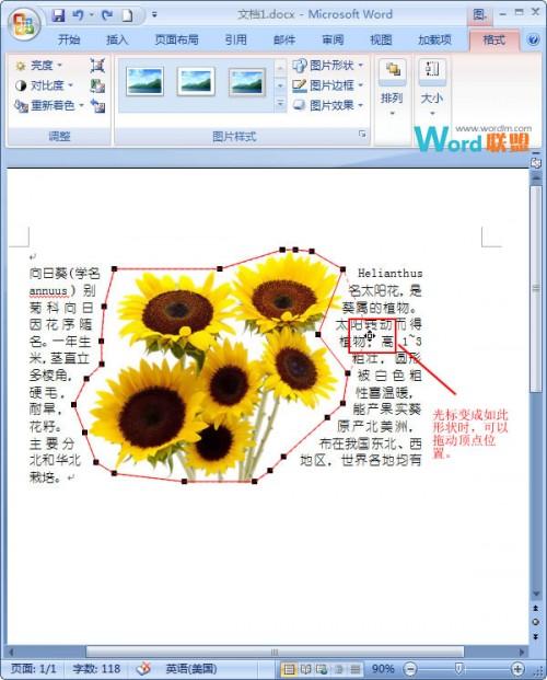 在Word2007中如何让文字紧挨图片