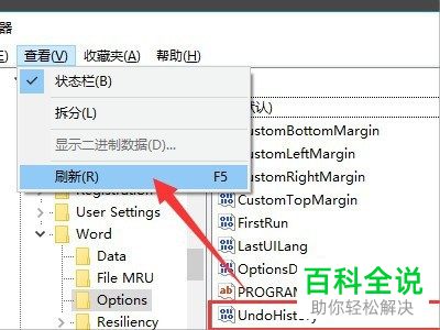 在Word文档中按CTRL Z组合键没有反应怎么办