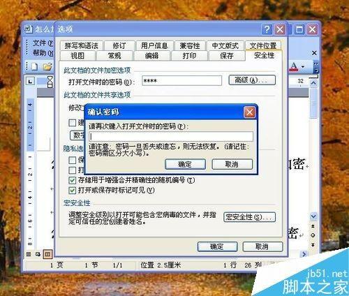 在word文档怎么设置打开密码?