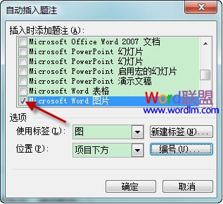 在Word 2003文档中如何自动插入题注