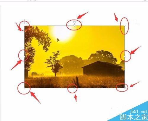 在word文档中怎么插入图片呢?
