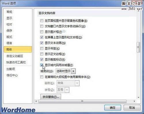 在Word2010文档中显示域代码而非域值的图文介绍