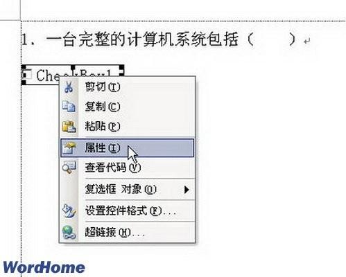 在Word2003中使用Word VBA制作选择题
