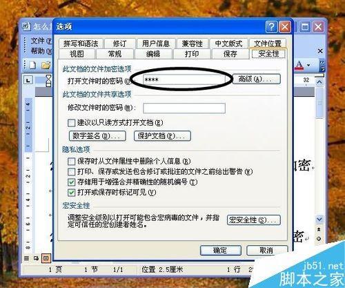 在word文档怎么设置打开密码?