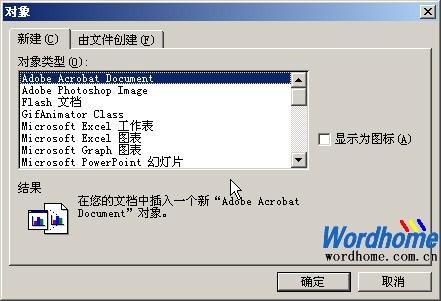 在Word中使用对象