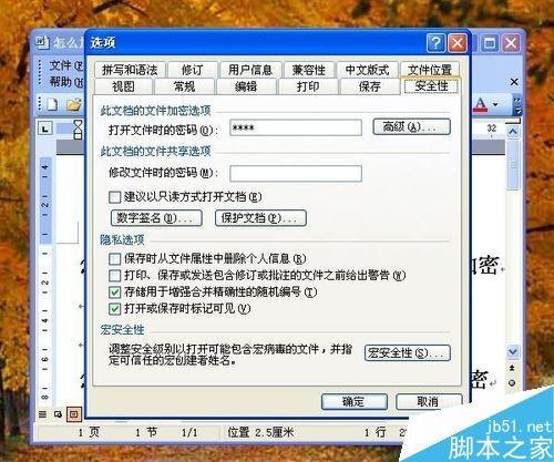 在word文档怎么设置打开密码?
