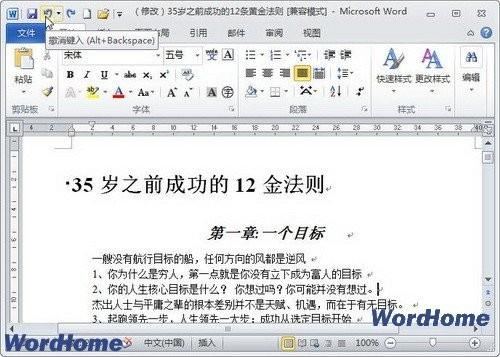 在Word2010中使用\