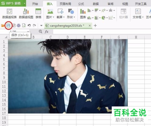 在wps表格中怎么插入图片？