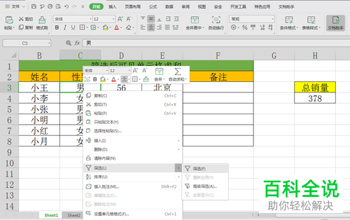 在wps中如何在筛选后显示剩余单元格的求和值