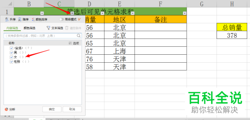 在wps中如何在筛选后显示剩余单元格的求和值
