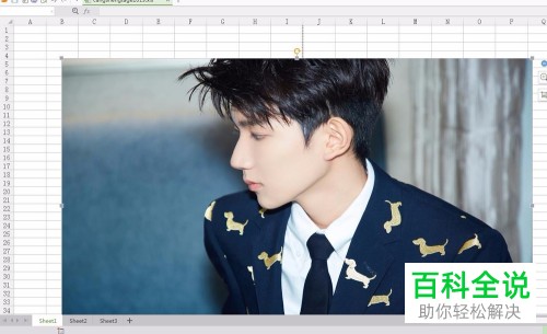 在wps表格中怎么插入图片？
