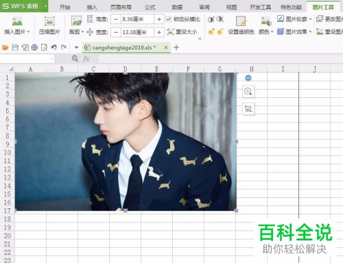 在wps表格中怎么插入图片？