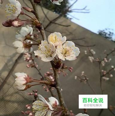 掌握学习拍照技巧心得