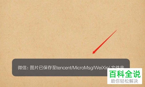 在微信中如何查看呢下载的文件