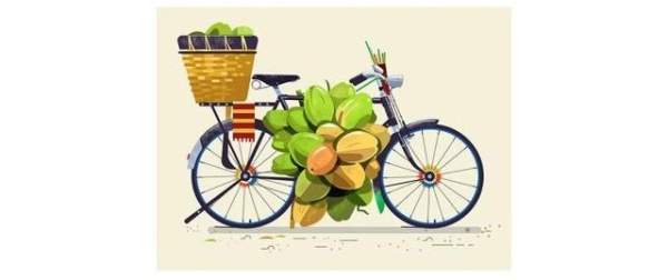 自行车插画图片（自行车插画手绘）