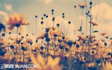 最新配对qq幸福情侣个性网名