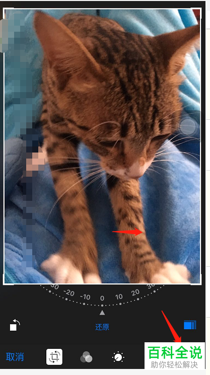 怎样按照比例裁剪苹果/iPhone手机的照片？