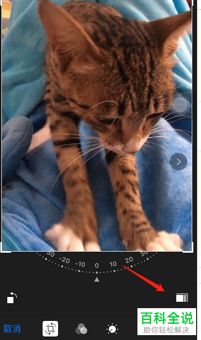 怎样按照比例裁剪苹果/iPhone手机的照片？