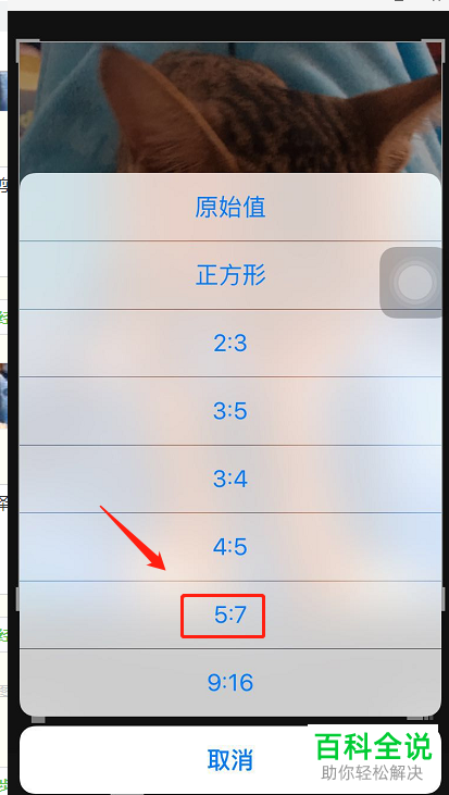 怎样按照比例裁剪苹果/iPhone手机的照片？
