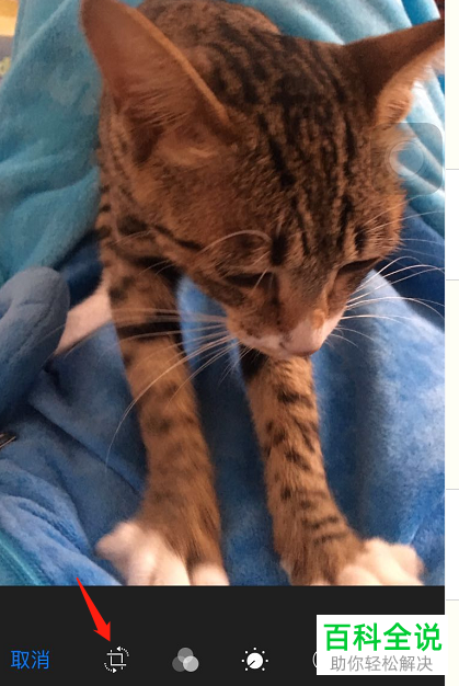 怎样按照比例裁剪苹果/iPhone手机的照片？