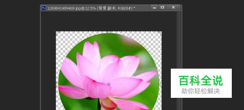 怎样把照片变成圆形，怎么把图片制作成圆形