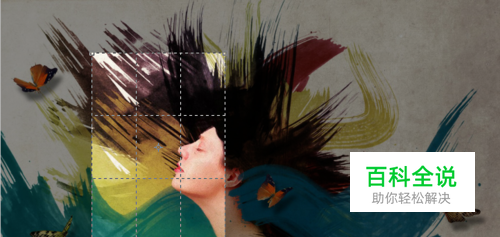 怎样把一组图片弄成一样大小：[4]PS裁剪图片