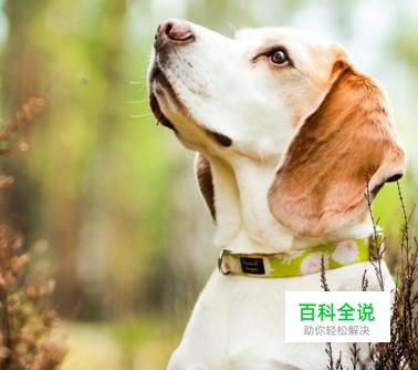 怎样查找图片原图出处及信息