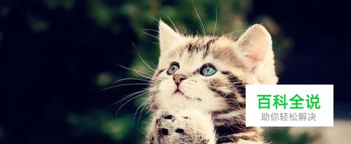 怎样查看电脑版本？