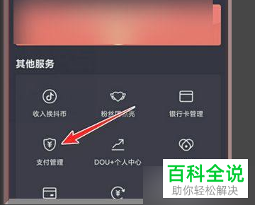 怎样抖音支付中优先支付宝账号？
