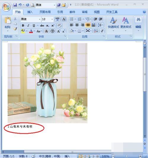 怎样给word中的图片添加注释?