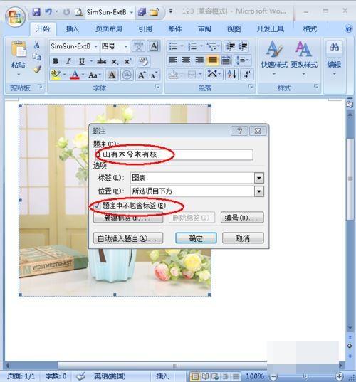 怎样给word中的图片添加注释?