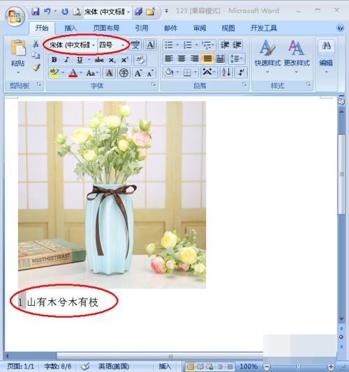 怎样给word中的图片添加注释?