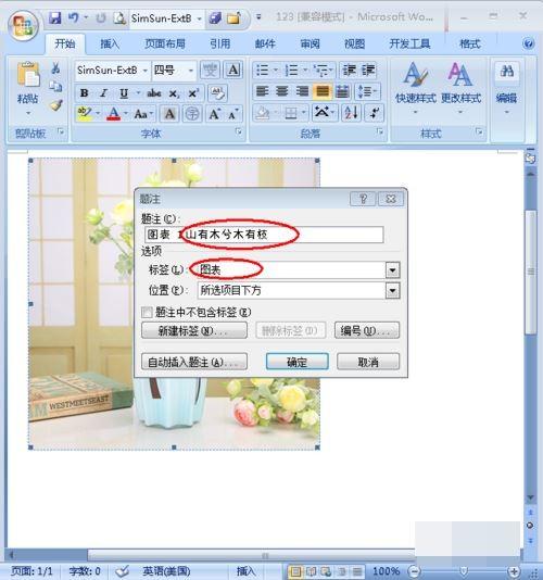 怎样给word中的图片添加注释?