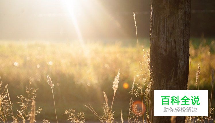 怎样可以拍出有感觉的照片