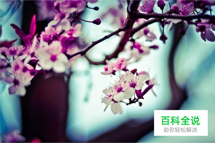 怎样可以拍出有感觉的照片