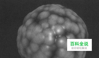 怎样利用3dmax为三维模型贴图