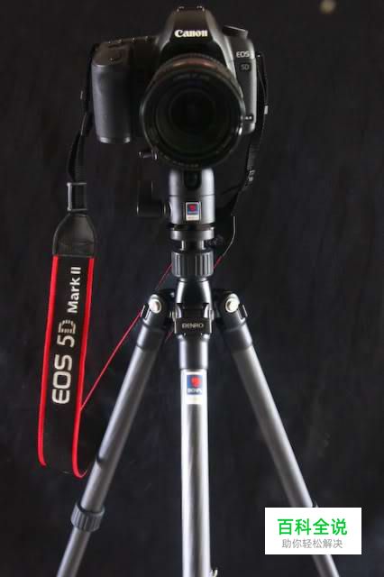 怎样拍摄出更加“锐”的照片