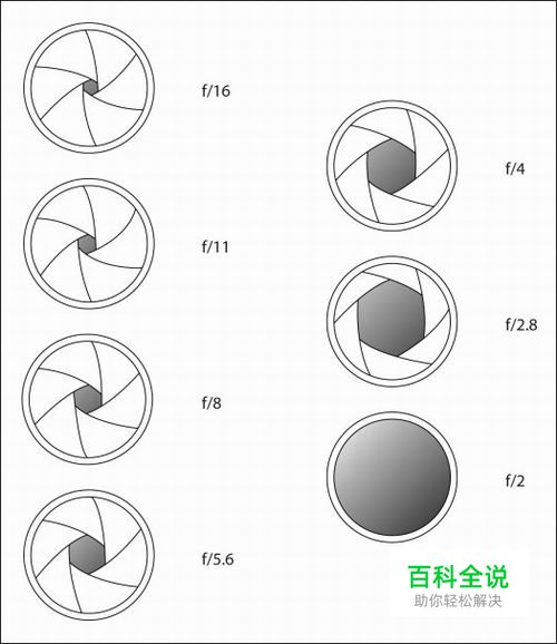 怎样拍摄出更加“锐”的照片
