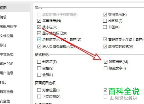怎样去掉wps2019文档里的回车标记符号