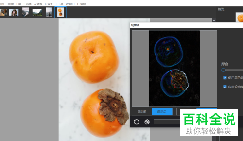 怎样使用photodemon查看图片轮廓线效果